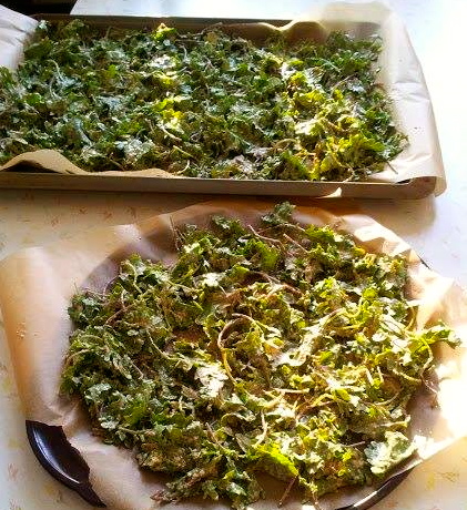 Crunchtastic Kale Chips