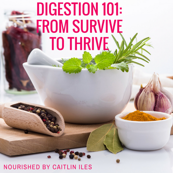 Digestion 101: From Survive to Thrive