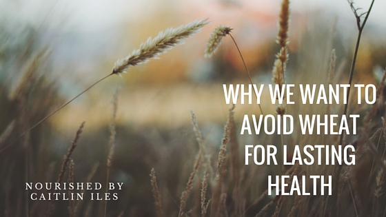 Why We Want to Avoid Wheat and Other Gluten-Containing Grains