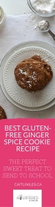 best-gluten-free-ginger-spice-cookie-recipe