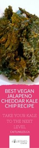 best-vegan-jalapeno-cheddar-kale-chips-recipe