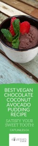 best-vegan-chocolate-avocado-pudding-recipe