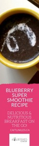 best vegan blueberry smoothie recipe