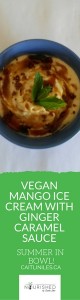 best vegan ginger ice cream recipe