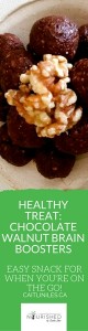 paleo & vegan chocolate walnut brain booster recipe