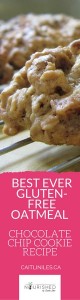 Best Ever Glutne-Free Oatmeal Chocolate Chip Cookie Recipe