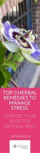 top-3-herbal-remedies-to-manage-stress