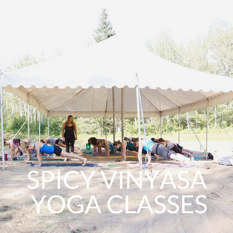 Spicy Vinyasa Yoga Classes with caitlin iles
