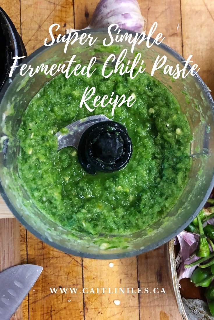 Super Simple Fermented Chili Paste Recipe NOURISHED