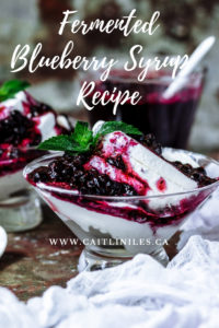 Simple Fermented Blueberry Syrup Recipe