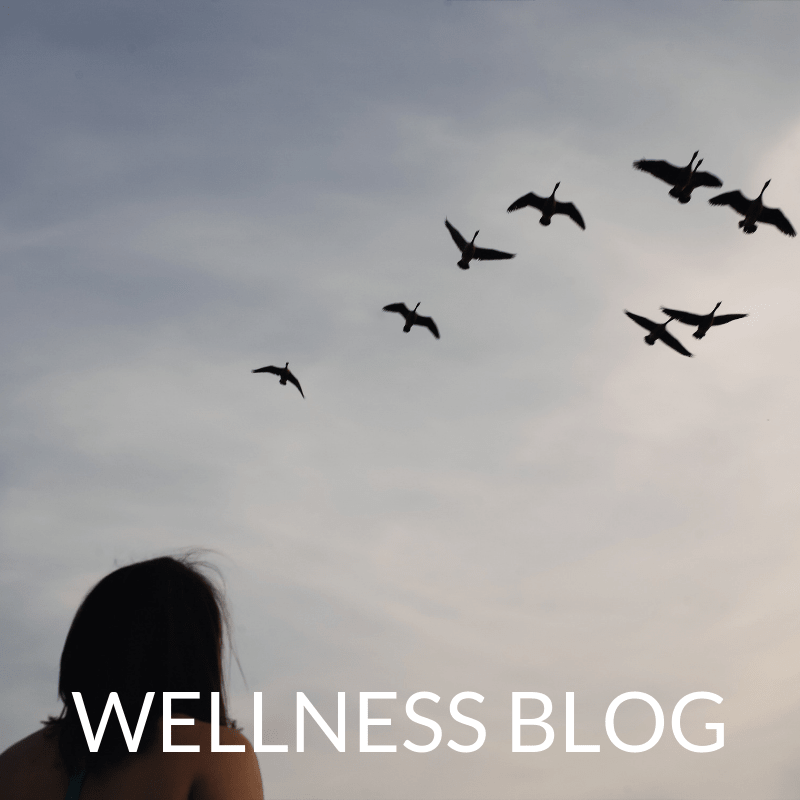 Caitlin Iles Wellness Blog 