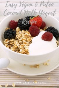 Easy Vegan Coconut Milk Yogurt Recipe