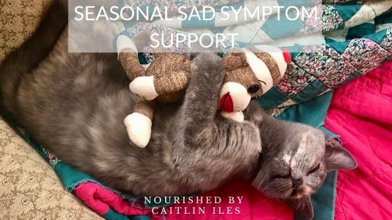 Seasonal SAD Symptom Support