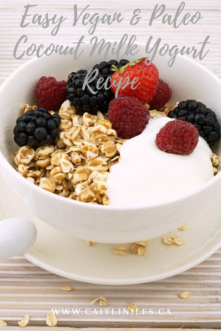 Easy Vegan Coconut Milk Yogurt Recipe NOURISHED